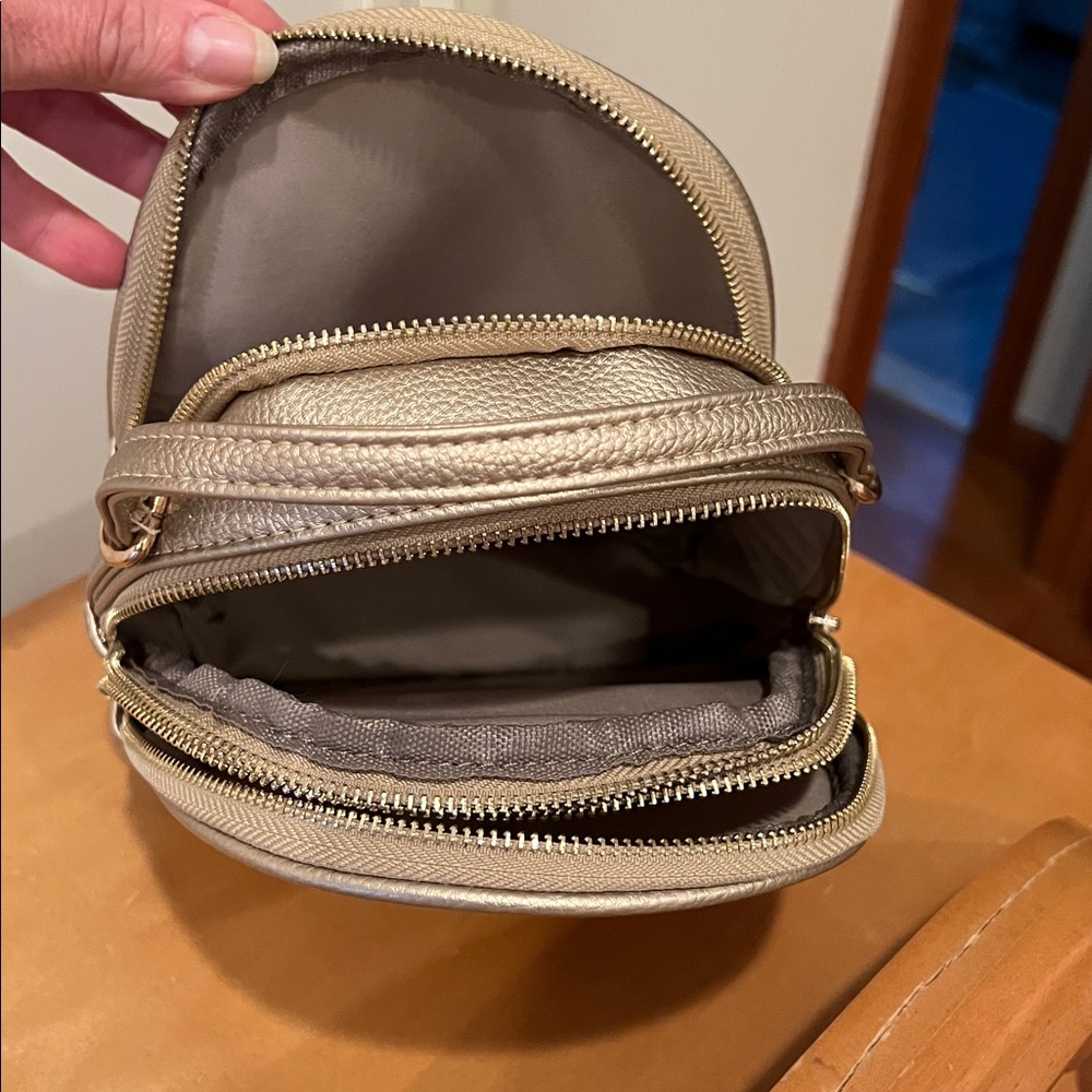 Miniature Crossbody/Backpack - Picture 4 of 6